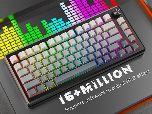 Redragon K732SP-RGB-PRO Rgb Pudding Keycaps