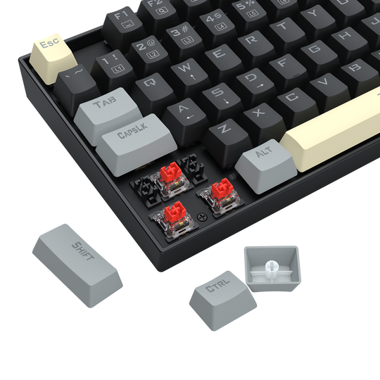 Redragon K552LGY-R TKL Mechanical Gaming Keyboard