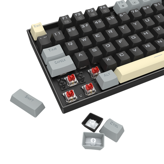 Redragon K552LGY-RGB TKL Mechanical Gaming Keyboard
