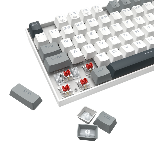 Redragon K552WGL-RGB TKL Mechanical Gaming Keyboard