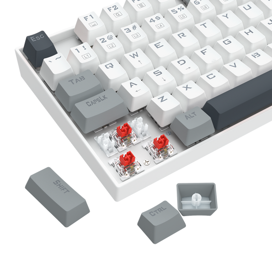 Redragon K552GLR-R 87 Key TKL Mechanical Gaming Keyboard