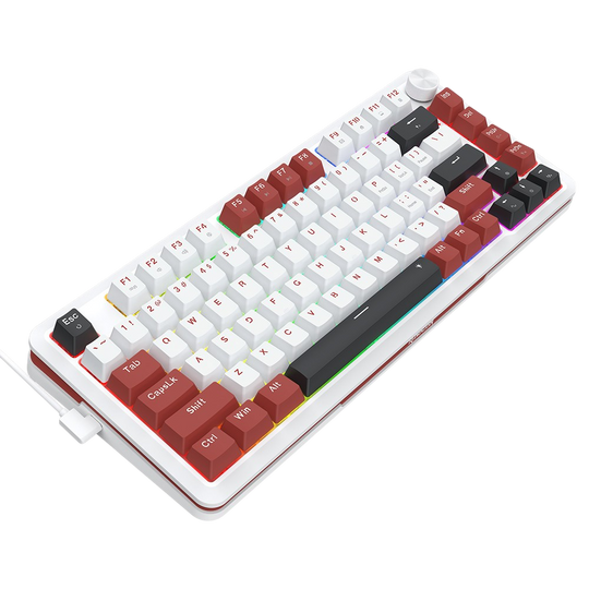 Redragon K721WRB-RGB TKL Mechanical Keyboard