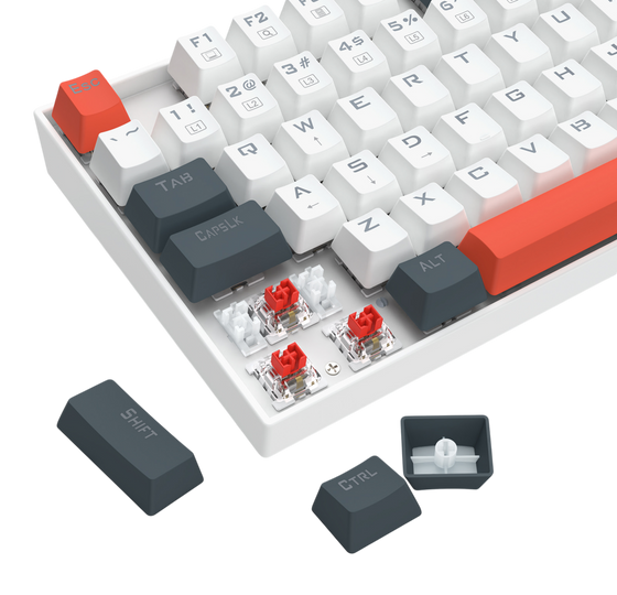 Redragon K552WLR-R TKL Mechanical Gaming Keyboard